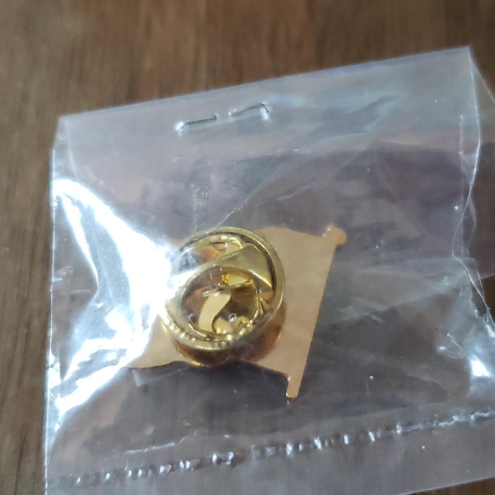 US Flag Pin - Picture 2 of 2